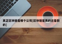 真正区块链是哪个公司[区块链是真的还是假的]